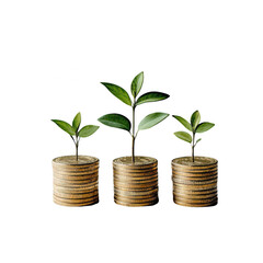 Coins and a growing plant, three columns with a gold coin isolated on transparent background, Concept for business growth or financial success