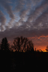 Sunset. Clouds in the evening sky. View from the window on the  street. Lutsk, Ukraine