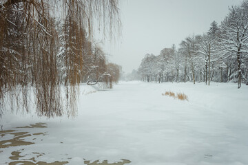 Winter park. View of the frozen canal 