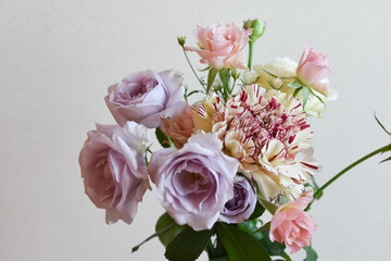 カラフルな薔薇