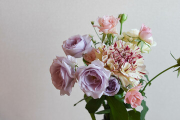 カラフルな薔薇