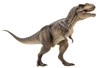 Isolated tyrannosaurus rex in white background