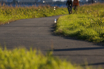 夕方の遊歩道