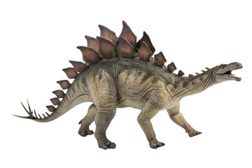 Fototapeta premium Stegosaurus Dinosaur on white background .