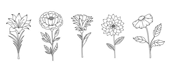 Collection of flowers in hand drawn style. Herbal Botanical doodle set. Line art and clip art. Silhouette of blooming petals. editable strokes. Elements. Vintage sketch. Cut out. Elegance ornament.