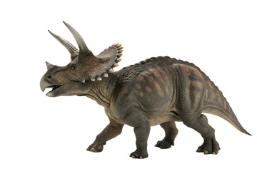 Triceratops dinosaurs toy isolated on white background with clipping path.