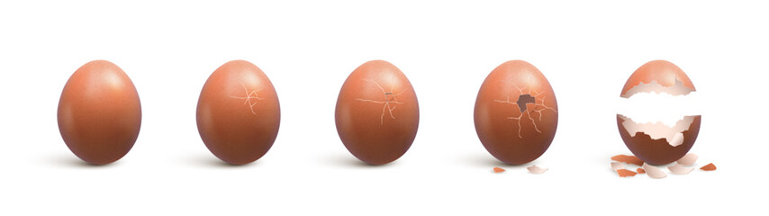 Realistic broken egg with cracks and shell pieces, vector 3d chick hatching sequences, farm bird incubator or food themes. 3d broken brown egg with from whole to cracked and split eggshell stages © Vector Tradition