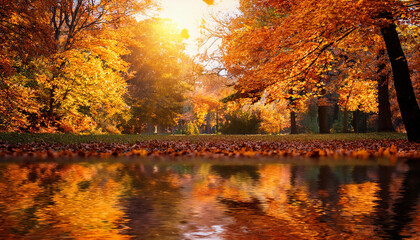 Obraz premium Orange fall leaves in park, autumn natural background