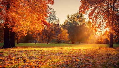 Obraz premium Orange fall leaves in park, autumn natural background