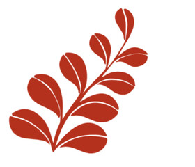 Flowers in the season of beauty