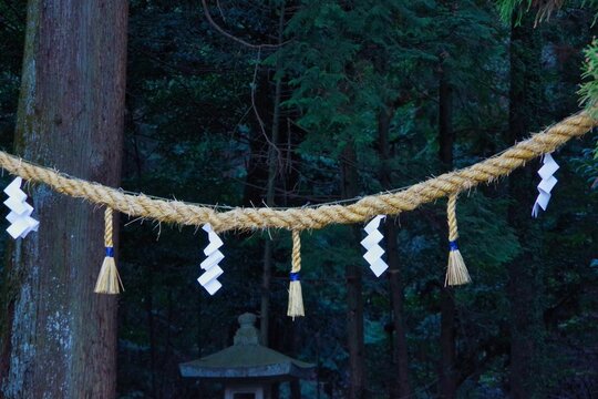 作者不詳/注連飾り画賛/人物図/しめ飾り図/正月飾り図/掛軸☆宝船☆AF-511 真作/作者不詳/松竹梅図/歳寒三友図/掛軸☆宝船☆AJ-721の通販