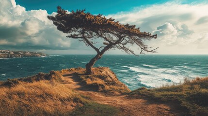 Windswept tree on a cliff overlooking a dramatic ocean.