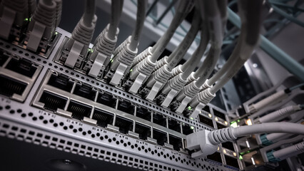 Network cables connected in a server room for data management and communication