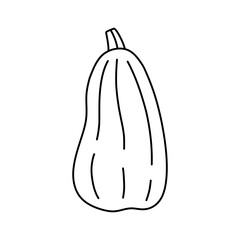 Pumpkin isolated on a white background. Vector hand-drawn doodle illustration. Perfect for decorations, menu, logo, various designs.