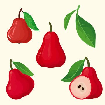Juicy bell apple icon flat style jingle bell fruit Red Pear Wax Apple Java Apple Mountain cloude