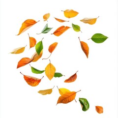 Fototapeta premium Leaves fluttering in the wind isolated on white background