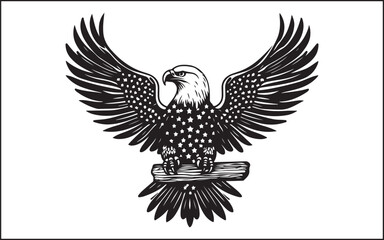 Fototapeta premium eagle with wings silhouette