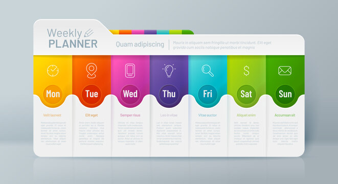 Weekly planner timeline infographic, daily week schedule, plan or step timetable vector template with modern line graphic symbols. School or business weekly planner timetable color info chart