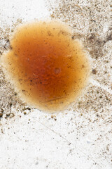 egg in the sand
