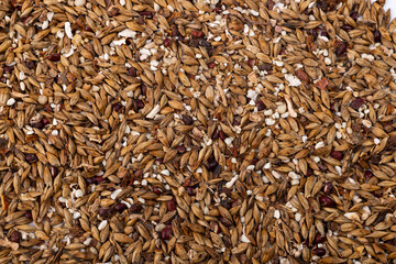 Red pea Gorgon seed red coix barley substitute tea coarse grain background texture