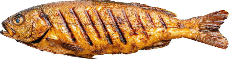 Grilled fish with golden-brown skin on a plate