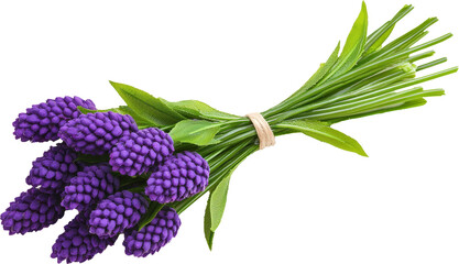 Obraz premium A vibrant bouquet of purple flowers.