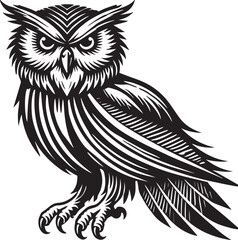 owl isolated on white