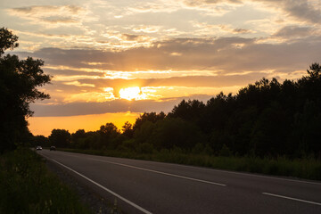 road through the trees a