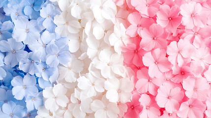 Fototapeta premium vibrant arrangement of blue, white, and pink flowers creates dreamy floral backdrop, evoking sense of tranquility and beauty