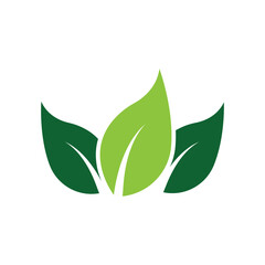 Leaf Logo Images design Template Icon