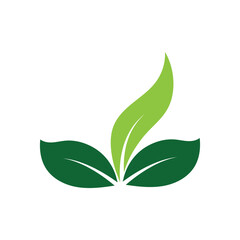 Leaf Logo Images design Template Icon