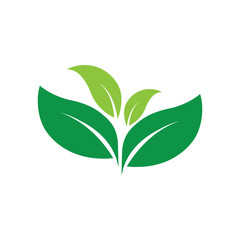 Leaf Logo Images design Template Icon