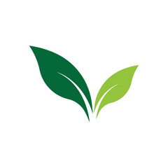 Leaf Logo Images design Template Icon