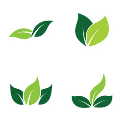 Leaf Logo Set  Images design Template Icon