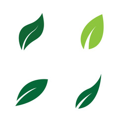Leaf Logo Set  Images design Template Icon