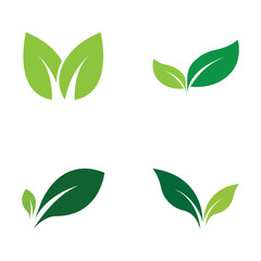 Leaf Logo Set  Images design Template Icon