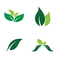 Leaf Logo Set  Images design Template Icon