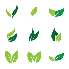 Leaf Logo Set  Images design Template Icon