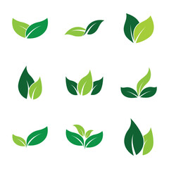 Leaf Logo Set  Images design Template Icon