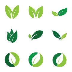 Leaf Logo Set  Images design Template Icon