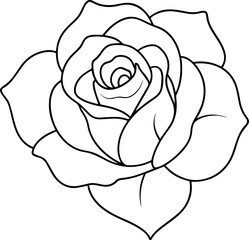 rose flower line art vector illustration