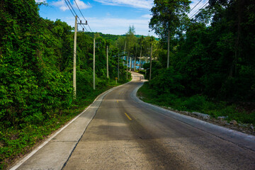 Rural country slope road with green tree forest