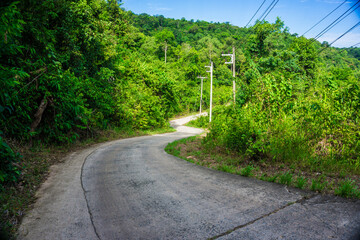 Rural country slope road with green tree forest