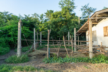 A small cattle pen that a farmer simply built from wood.