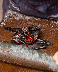 Preparing Mexican Mole Negro. Oaxaca chiles have to be cleaned, toasted on a comal over a flame and...