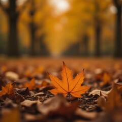 Un resplandor otoñal que conecta el alma con la naturaleza misma.
