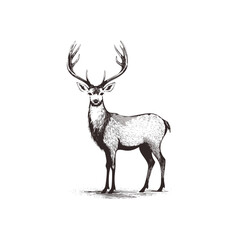 Christmas Deer Sketch Celebration Decoration Winter Event Festival of X-Mas
