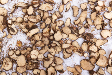 晾晒中药材重楼