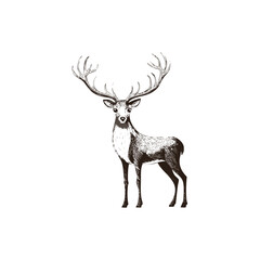 Christmas Deer Sketch Celebration Decoration Winter Event Festival of X-Mas
