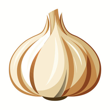 garlic isolated on white background